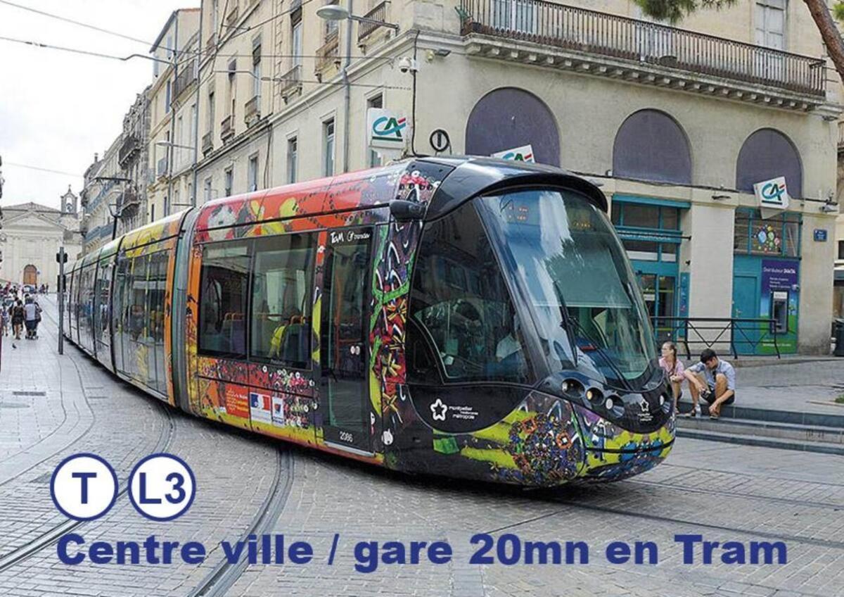 Montpellier Studio Climatise エクステリア 写真
